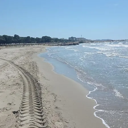 Horizon Golem (Tirana)